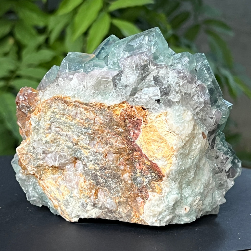 Specimen fluorit cubic model 3, pietre semipretioase - druzy.ro 3 