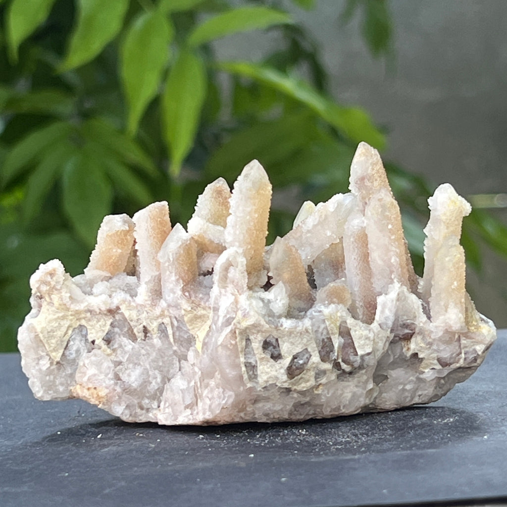 Cluster cuart spirit stalactit | Model 10, pietre semipretioase - druzy.ro 7 