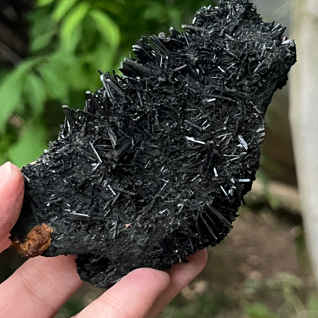 Cluster turmalina neagra model 12 din Erongo, Namibia, pietre semipretioase - druzy.ro 6 
