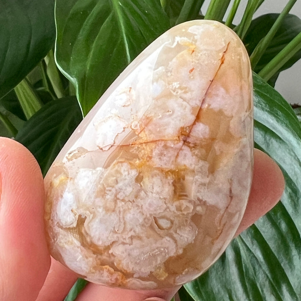 Palmstone agat coral floare m5, pietre semipretioase - druzy.ro 2 
