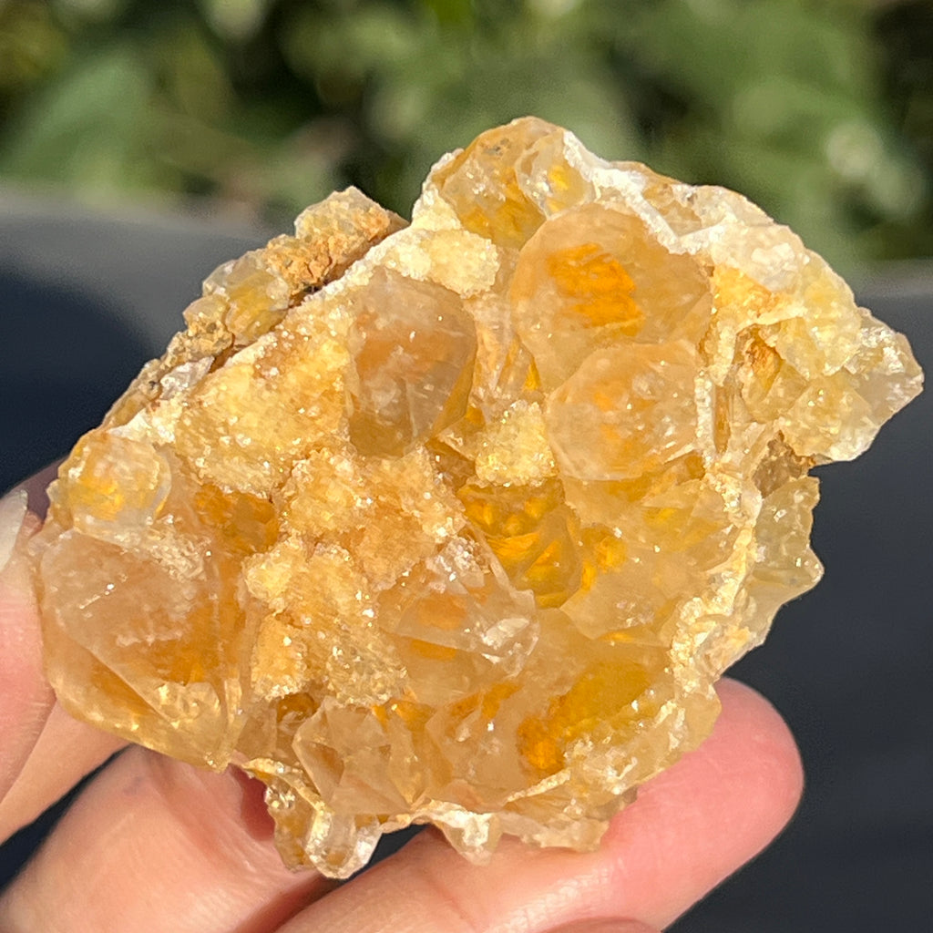 Cluster cuart lamaie Zambia, golden healer model 37, pietre semipretioase - druzy.ro 2 