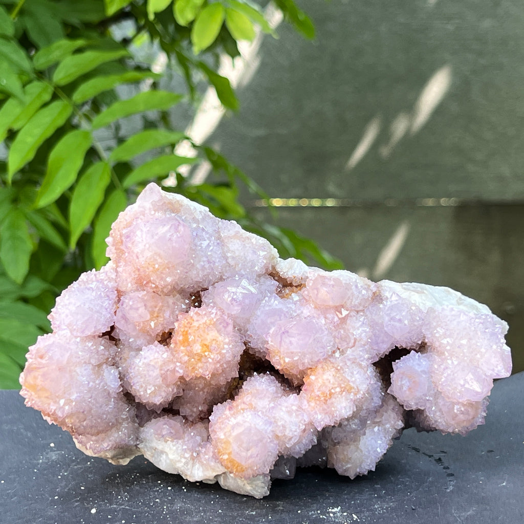Specimen ametist cuart spirit din Africa de Sud | Model 21, pietre semipretioase - druzy.ro 8 