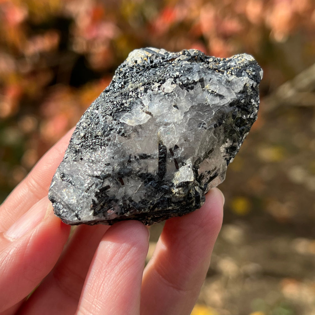 Turmalina neagra bruta cu insertii cuart Africa de Sud model 3, druzy.ro, cristale 5