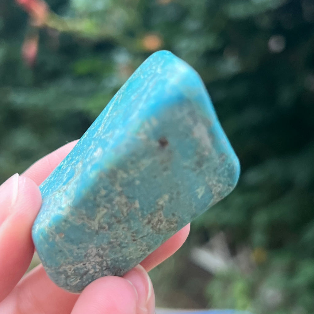 Forma libera/palmstone Shattuckite m2, druzy.ro, pietre semipretioase 4