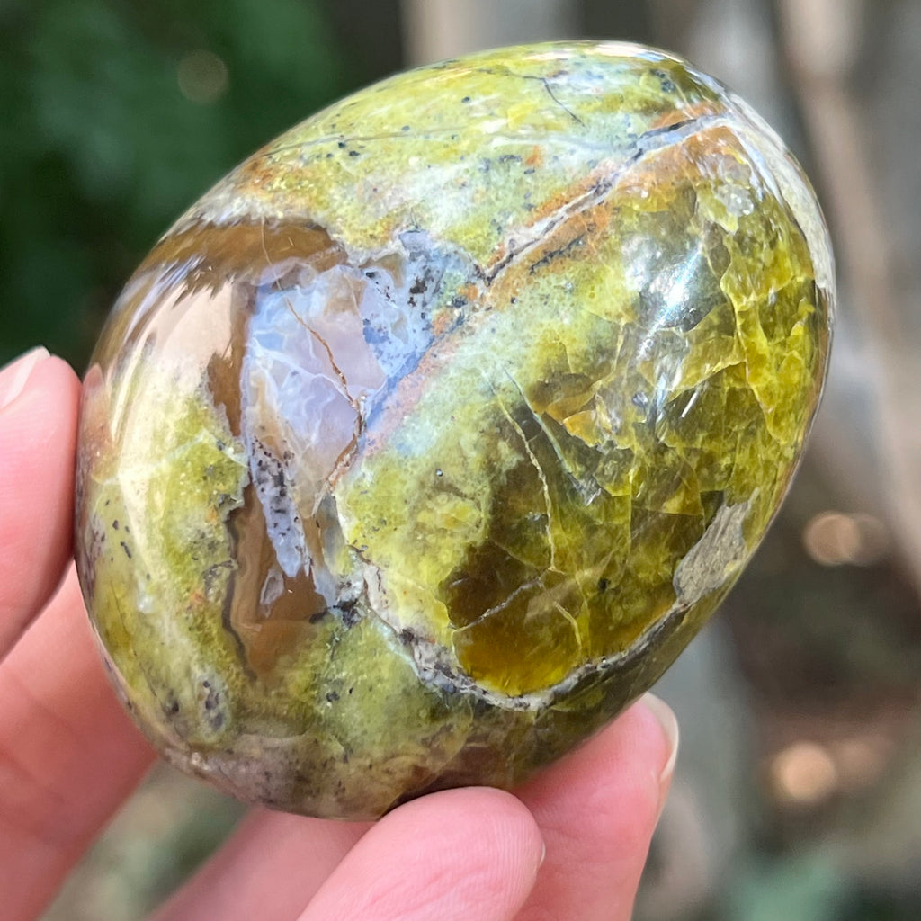 Opal verde palmstone m14, pietre semipretioase - druzy.ro 2 