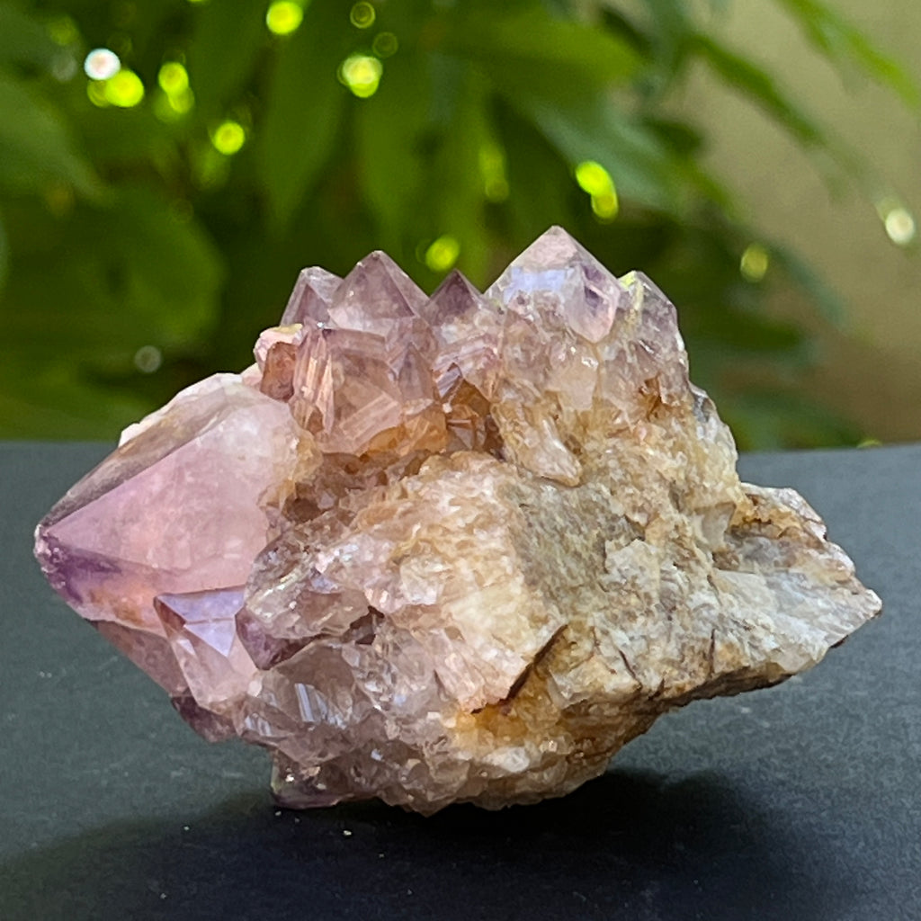 Specimen ametist cuart spirit din Africa de Sud | Model 25, pietre semipretioase - druzy.ro 2 