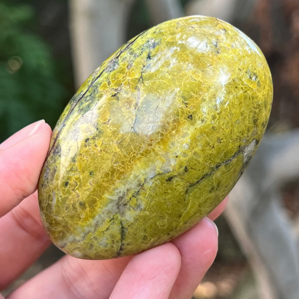 Opal verde palmstone m7, pietre semipretioase - druzy.ro 7 