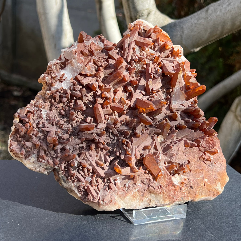 Cluster cuart tangerian 22 * 18 cm, druzy.ro, cristale 4