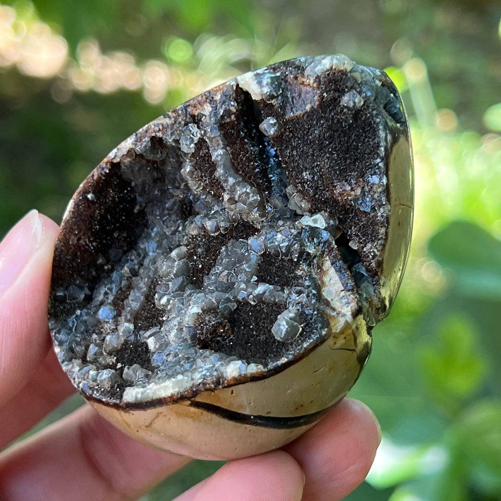 Ou Septaria din Madagascar , piatra dragonului | Model 3, pietre semipretioase - druzy.ro 2 