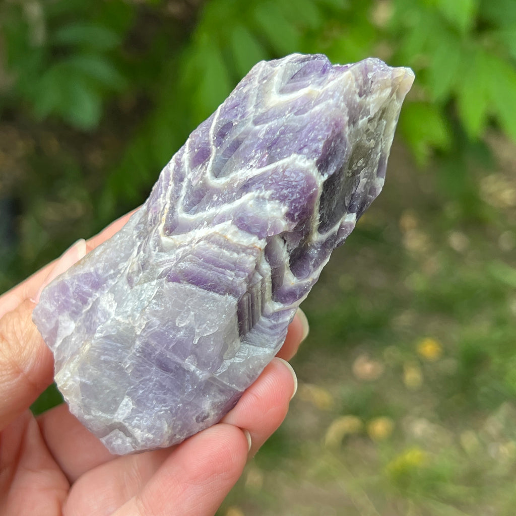 Ametist chevron piatra bruta/ varf m1, pietre semipretioase - druzy.ro 2 