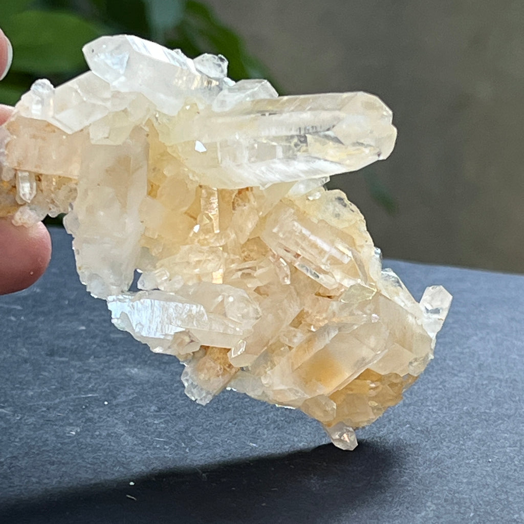 Cluster cuart incolor, floare de mina, cristal de stanca Zimbabwe m12, pietre semipretioase - druzy.ro 4 