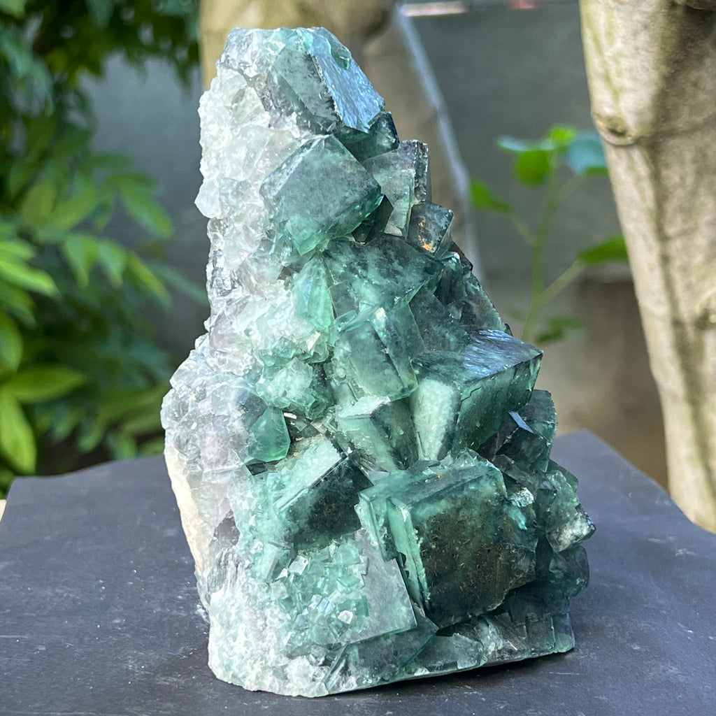 Specimen fluorit cubic model 1, pietre semipretioase - druzy.ro 6 