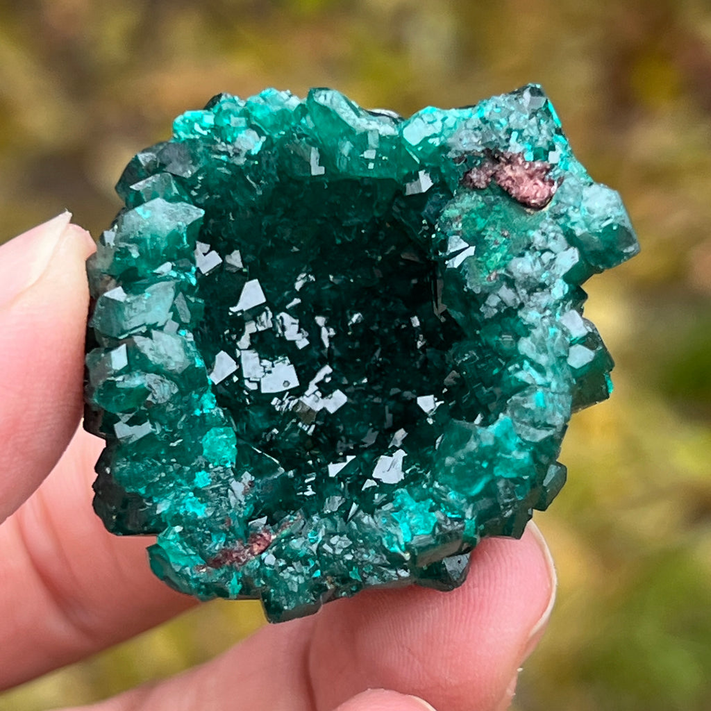 Floare dioptaz cluster din Congo model 4, pietre semipretioase - druzy.ro 10 