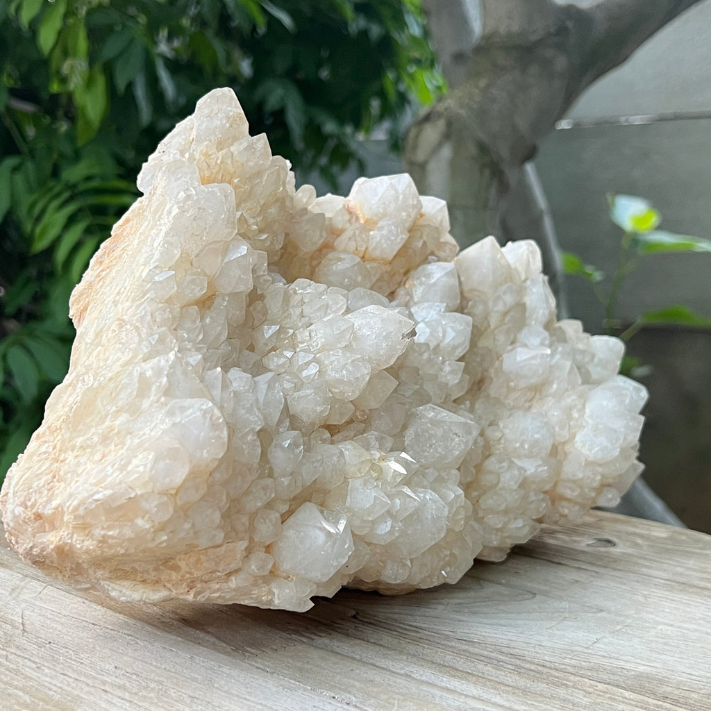 Specimen cuart fantoma, cuart ananas din Madagascar model XL2, pietre semipretioase - druzy.ro 2 