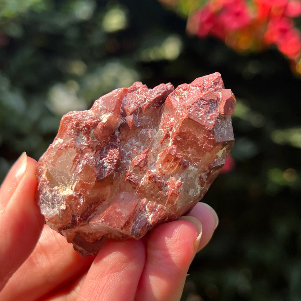 Cluster rosu hematoid din Zimbabwe model 1, pietre semipretioase - druzy.ro 4