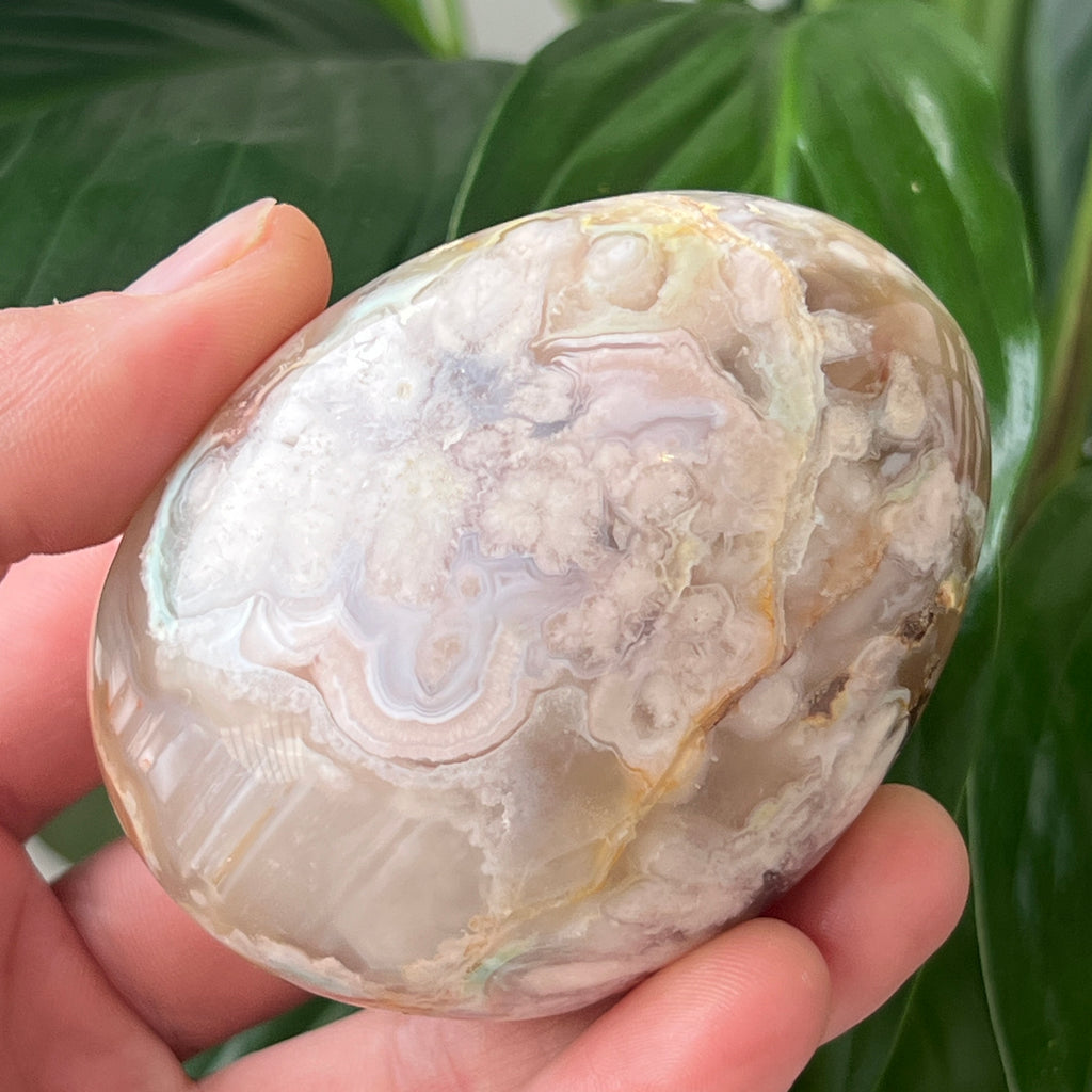 Palmstone agat coral floare rosu md9, pietre semipretioase - druzy.ro 2 
