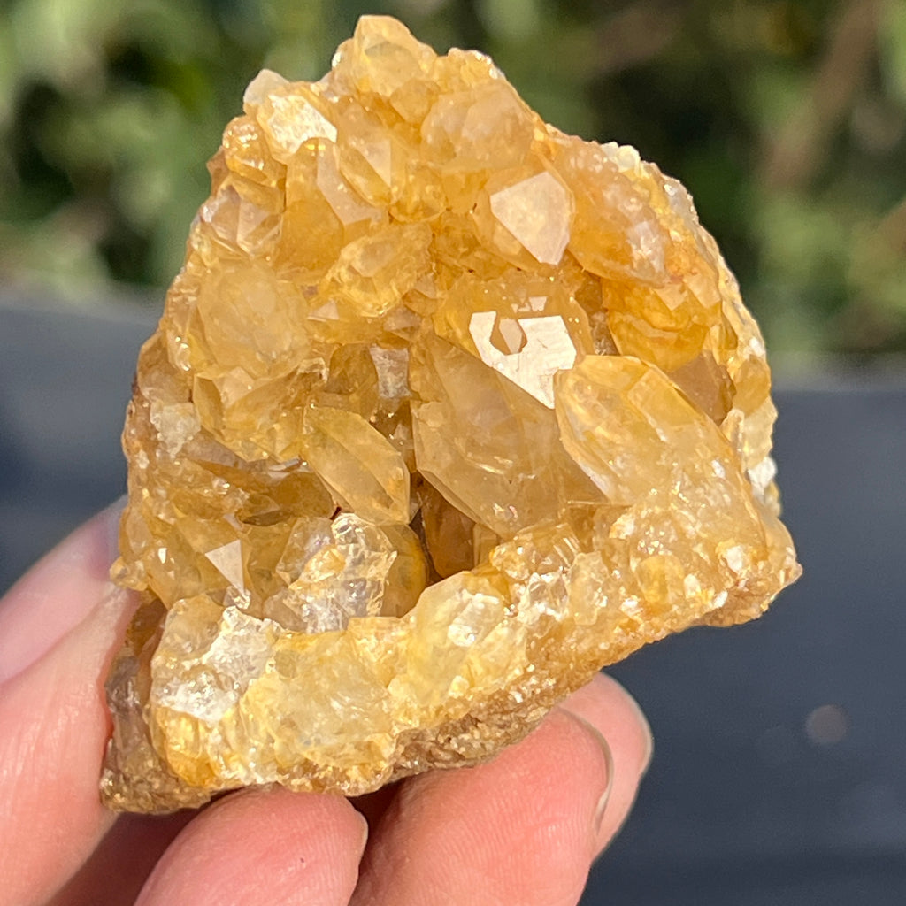 Cluster cuart lamaie Zambia, golden healer model 51, pietre semipretioase - druzy.ro 1 