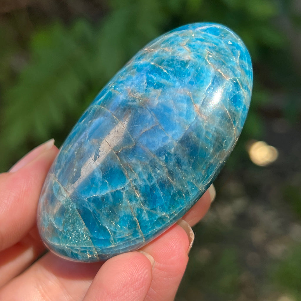 Apatit rulat palmstone model 3, pietre semipretioase - druzy.ro 2 