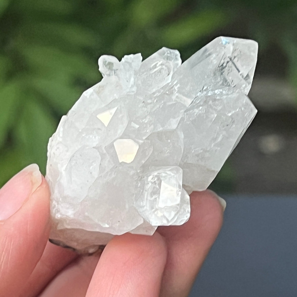 Cluster apofilit model 2, pietre semipretioase - druzy.ro 2 