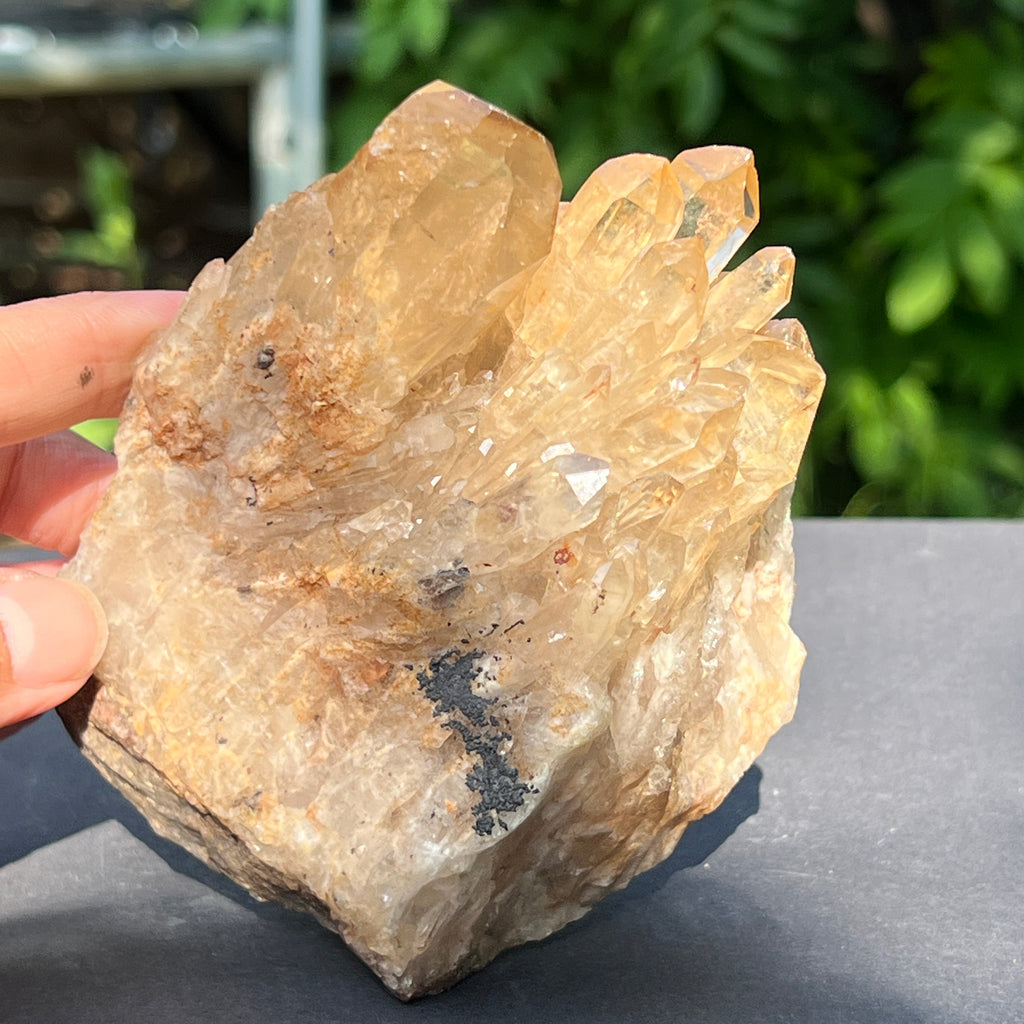 Citrin fumuriu din Congo – specimen natural, netratat | Model 2, pietre semipretioase - druzy.ro 5 