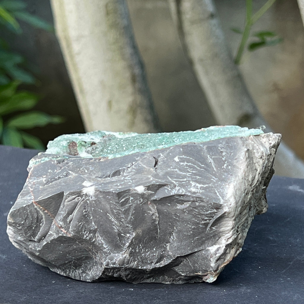 Cluster calcedonie cu crom albastru-verzuie din Zimbabwe | Model 4, pietre semipretioase - druzy.ro 4 