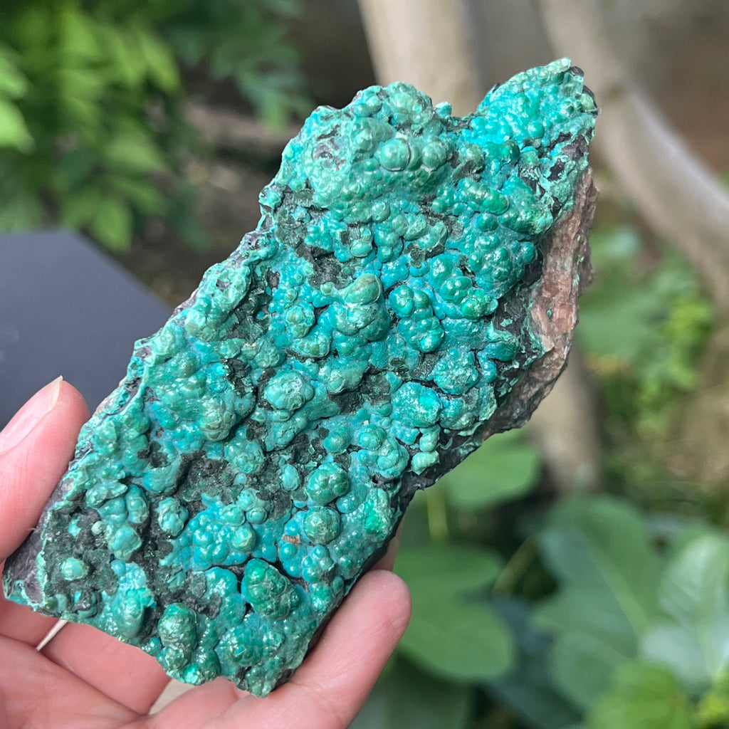 Cluster crisocola botrioidală model 4 din Congo, pietre semipretioase - druzy.ro 2 