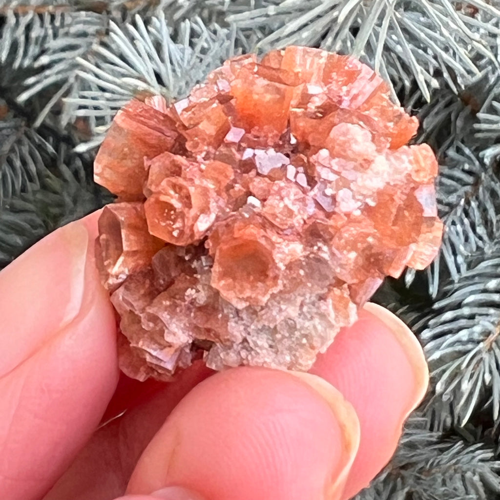 Cluster cristal aragonit din Maroc model 3, druzy.ro, cristale 1