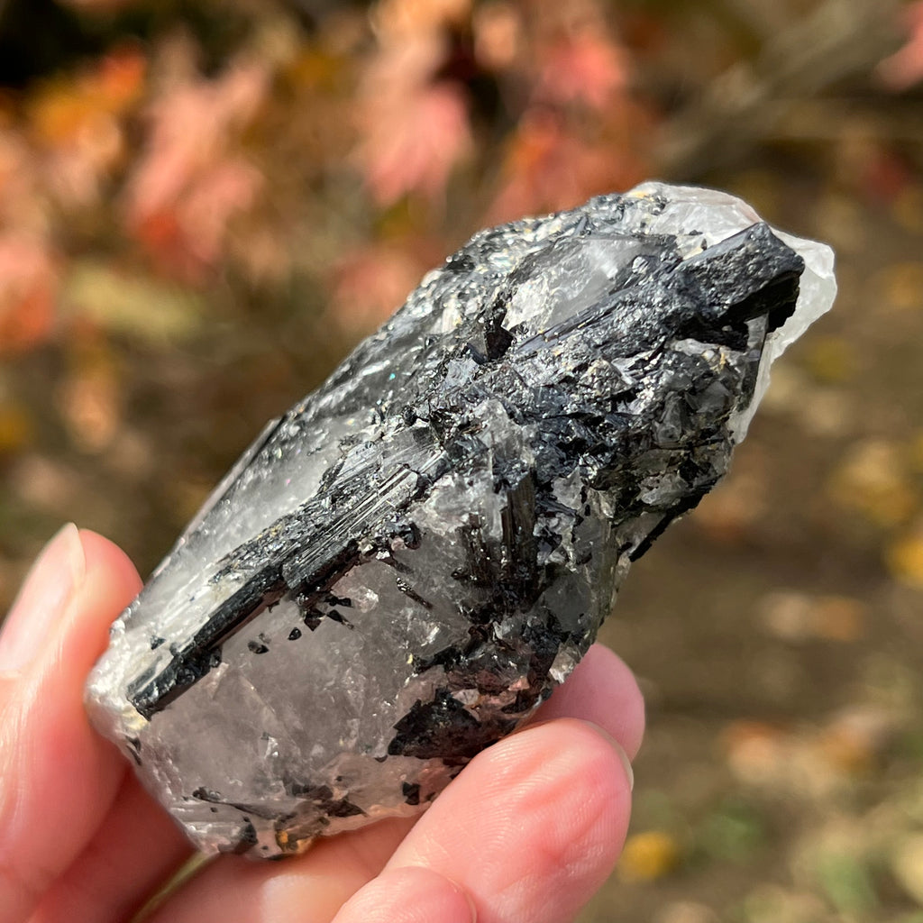 Turmalina neagra bruta cu insertii cuart Africa de Sud model 1, druzy.ro, cristale 4