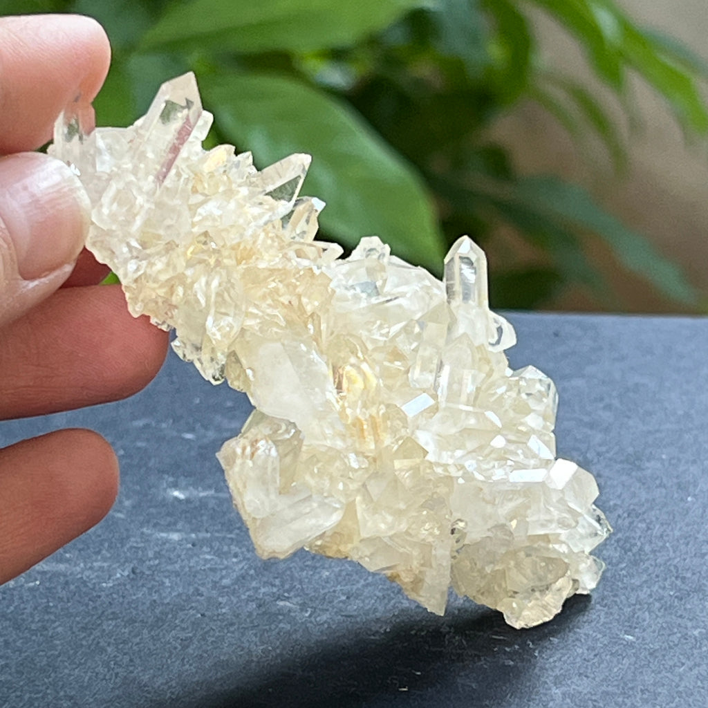 Cluster cuart incolor, floare de mina, cristal de stanca Zimbabwe m8, pietre semipretioase - druzy.ro 3 