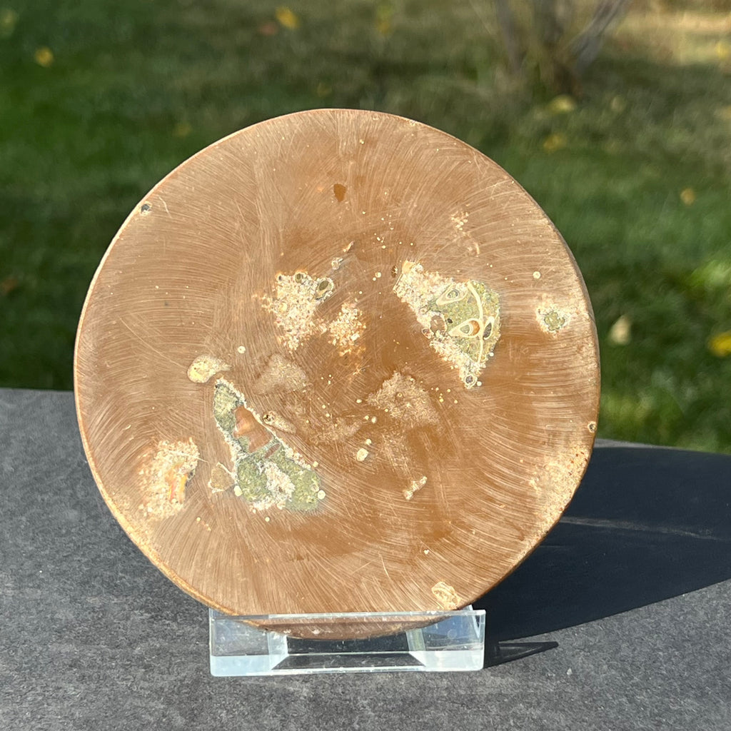 Fosil amonit felie 11.5 cm model 6, druzy.ro, cristale 2
