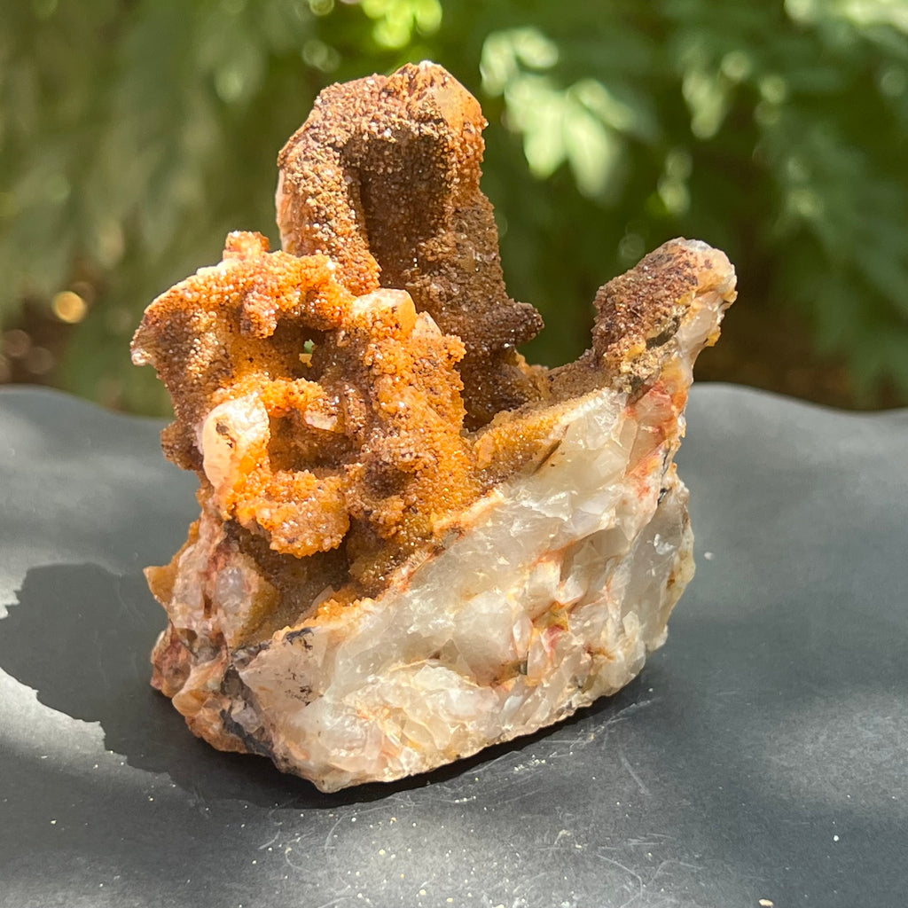 Cluster cuart lamaie, golden healer 4A/4, Africa de Sud, druzy.ro, pietre semipretioase 6