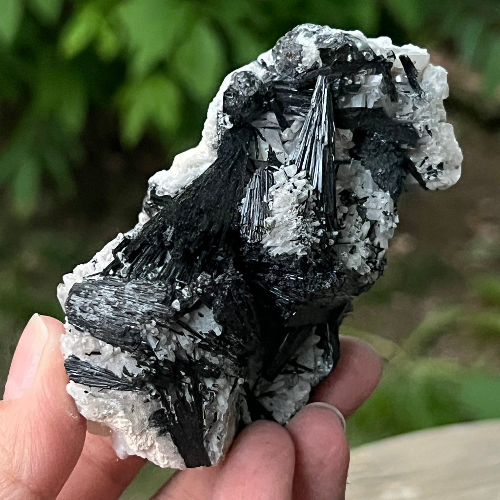 Cluster turmalina neagra model 9 din Erongo, Namibia, pietre semipretioase - druzy.ro 9 