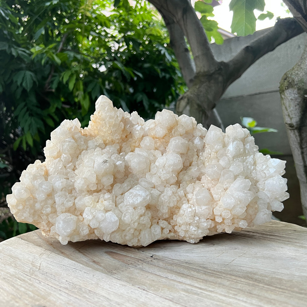 Specimen cuart fantoma, cuart ananas din Madagascar model XL2, pietre semipretioase - druzy.ro 4 