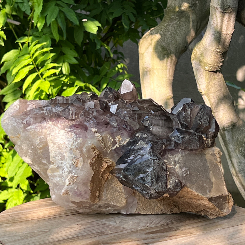 Specimen cluster cuart fumuriu mina Brandberg m8, pietre semipretioase - druzy.ro 7 