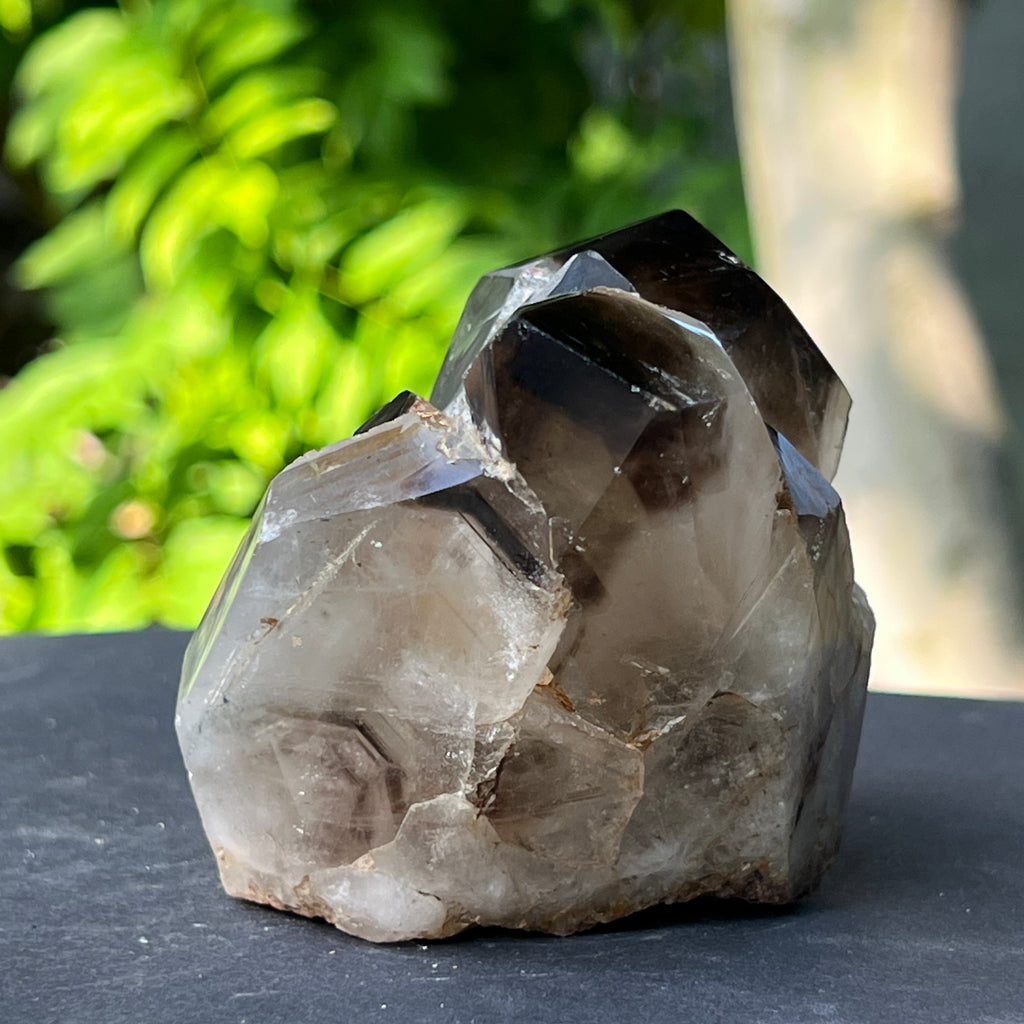 Specimen cluster cuart fumuriu m7, pietre semipretioase - druzy.ro 5 