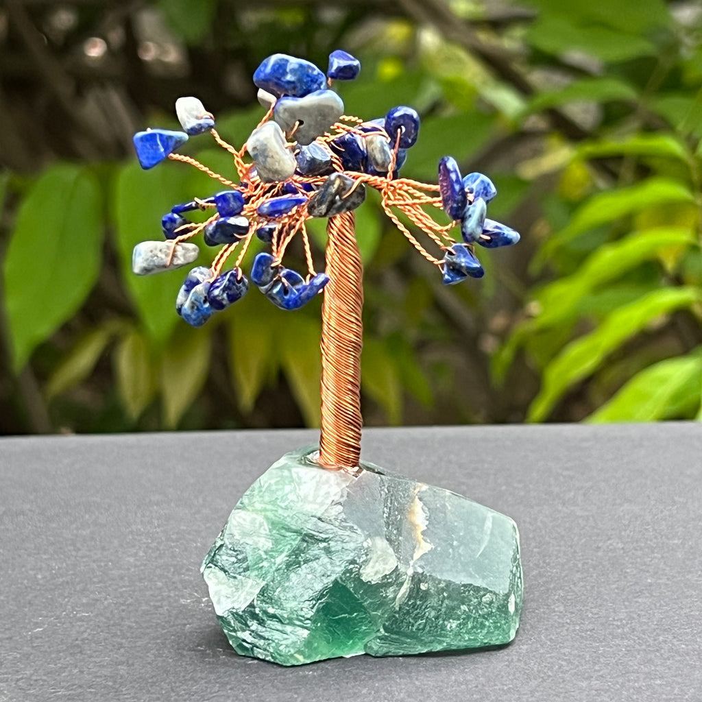Copac feng shui cu lapis lazuli pe bază de fluorit – mărime S, pietre semipretioase - druzy.ro 1 