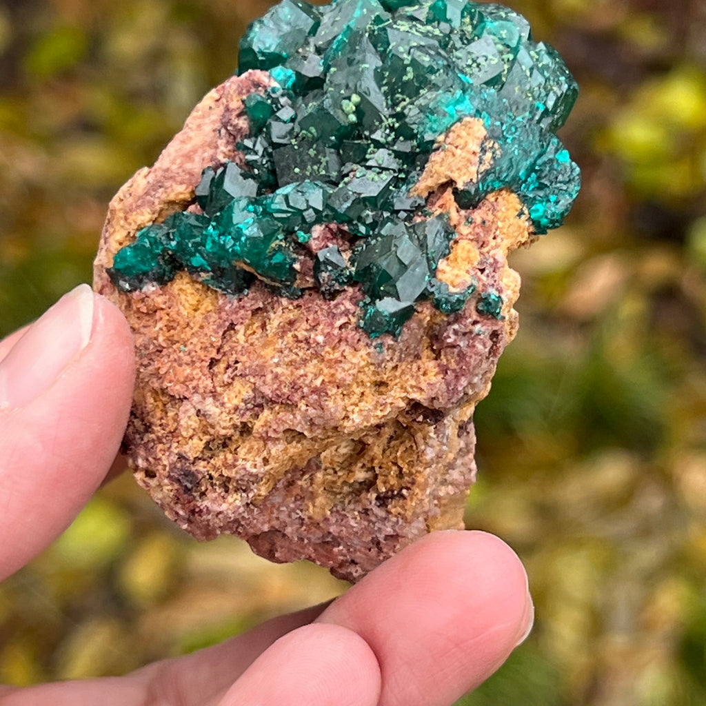 Dioptaz cluster din Congo model 11, pietre semipretioase - druzy.ro 13 