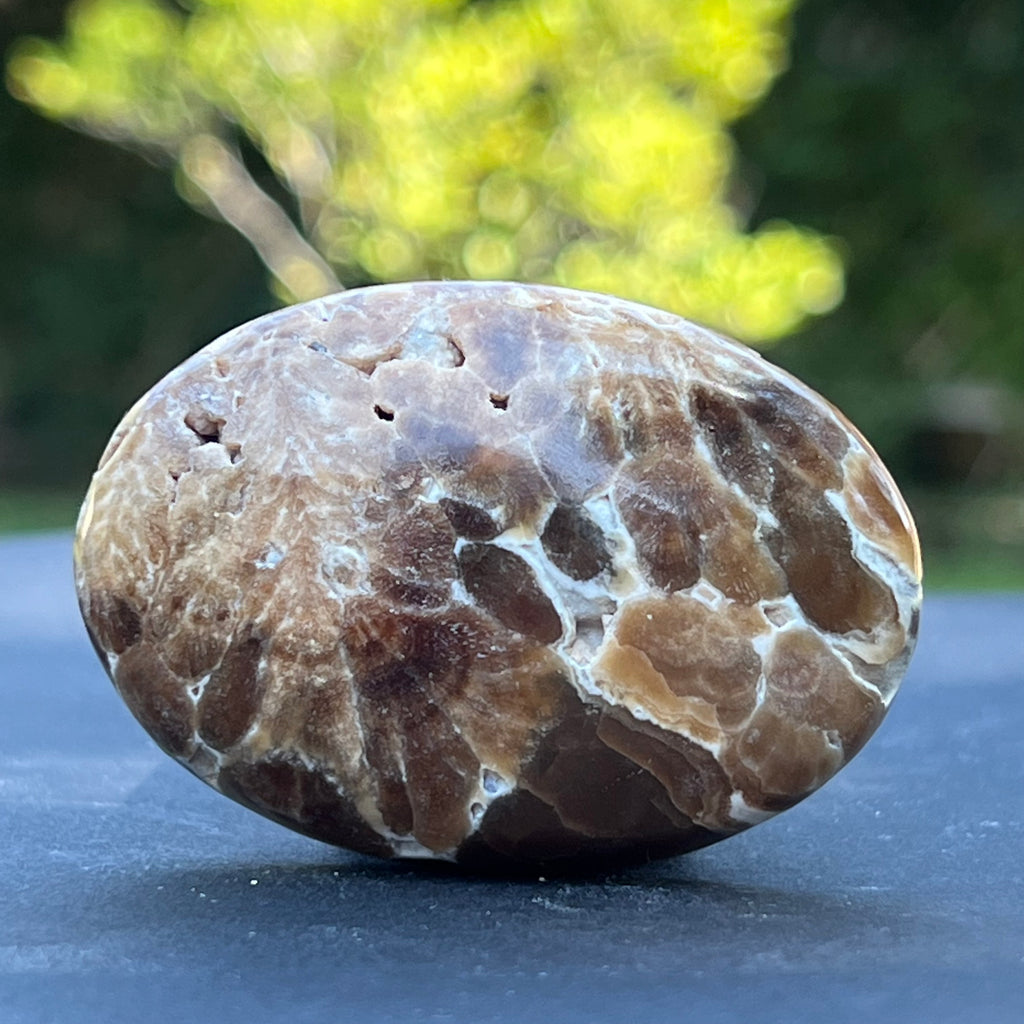 Palm stone calcit ciocolata m1, druzy.ro, cristale 3