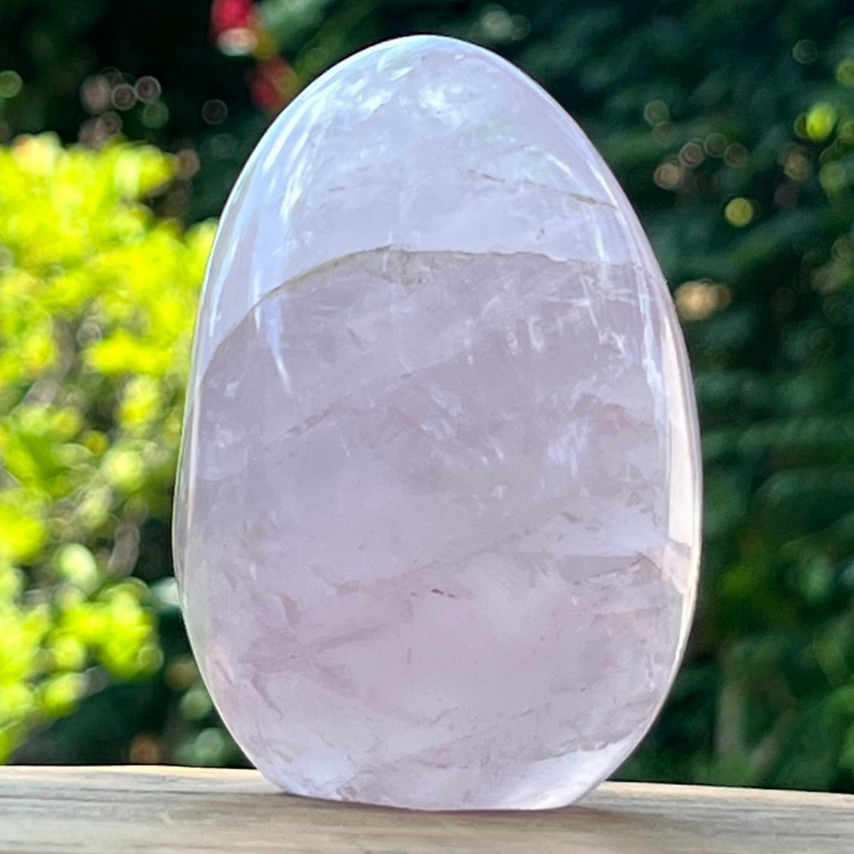 M2kaltesh Roz Cuart roz forma libera m2 – DRUZY