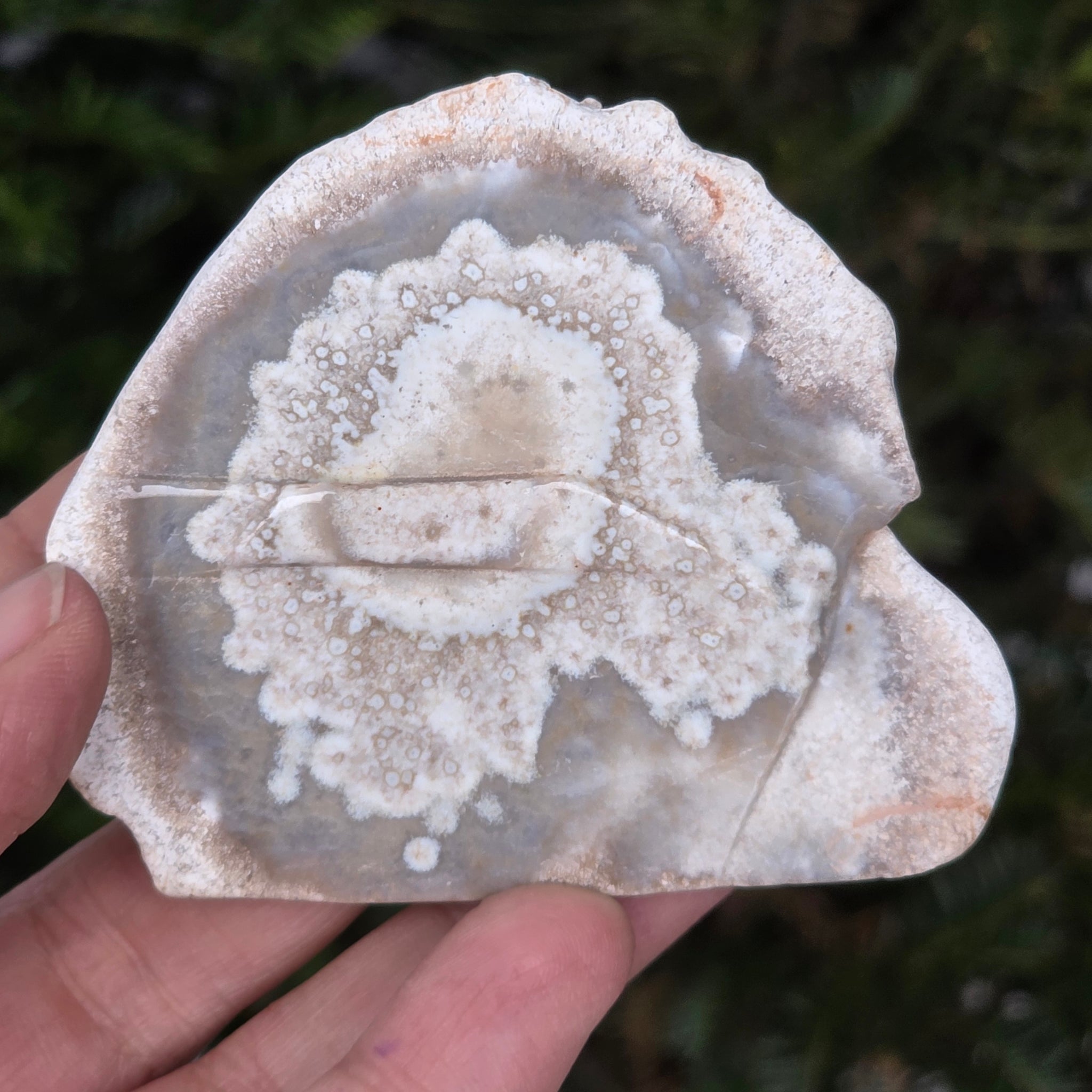 Agat Crazy Lace – DRUZY