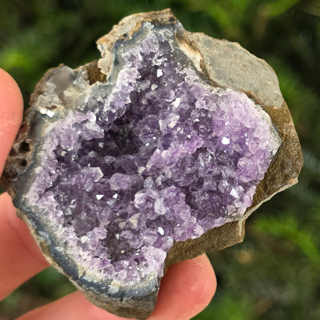 Cluster ametist model 27, pietre semipretioase - druzy.ro 2 