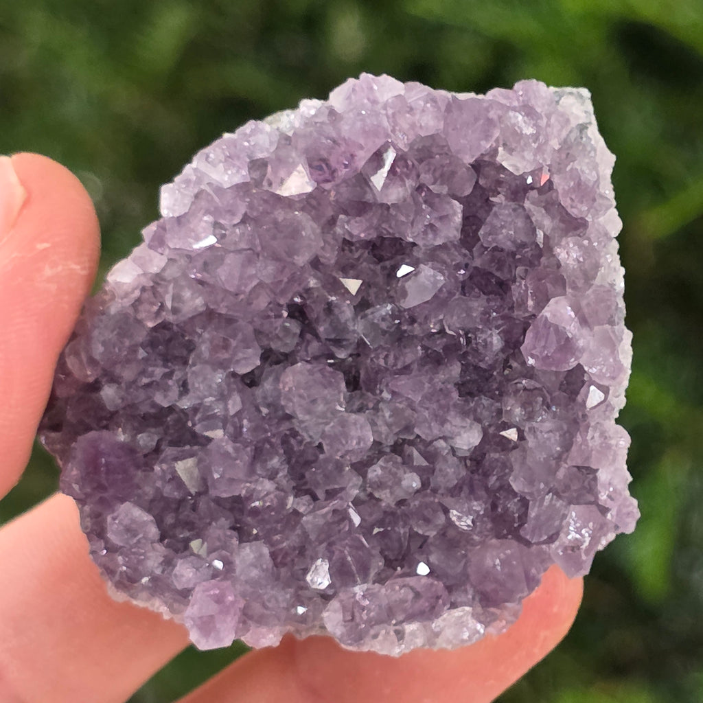 Cluster ametist model 16, pietre semipretioase - druzy.ro 1 